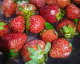Foto langkah ke 1 dari resep Mix Fruit Juices.