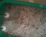 Foto del paso 3 de la receta: Pan sin harina saborizado