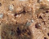 Foto del passaggio 5 della ricetta Biscotti al cacao e gocce di cioccolato