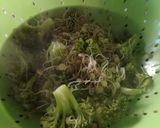Foto del paso 3 de la receta: Brotes de lentejas en salteado de verduras