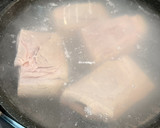 Foto langkah ke 1 dari resep Siobak / Babi Panggang / Chinese Crispy Pork Belly.