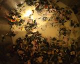 Foto del paso 10 de la receta: Quiche de acelga pollo y choclo