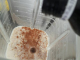 Avena con leche