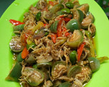 Foto langkah ke 4 dari resep Oseng terong bulet mix teri.