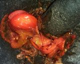 Foto langkah ke 4 dari resep Sambel Terasi.