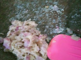 Sayur Labu Siam tahu