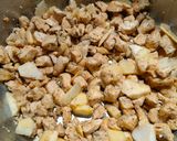 Foto del paso 8 de la receta: Empanada de pollo con manzana