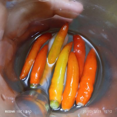 Langkah 6