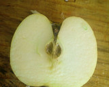 Foto del paso 4 de la receta: Jugo verde para evitar muchas enfermedades a la Mario, s
