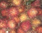 Foto langkah ke 1 dari resep Asinan Rambutan Simpel.