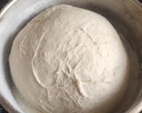 Foto del paso 4 de la receta: Pan o pizza con poolish
