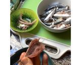 Une image de l'étape 2 de Croquettes 🌶de sardines 🐟aux herbes 🌿 de Provence🌱🍃.