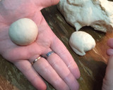 Foto del paso 3 de la receta: Pan lactal relleno "acordeon"🍞