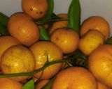 Foto del paso 2 de la receta: Torta de tangerinas brillosa