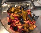 Une image de l'étape 5 de Compote multi fruits (prunes, pêches, mûres).