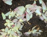 Foto langkah ke 1 dari resep Tumis Toge Tahu.