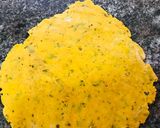 A picture of step 3 of Baked Methi Mathari.