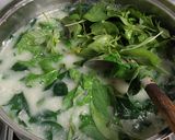 Foto langkah ke 3 dari resep Daun katuk masak bobor....