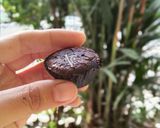 Foto langkah ke 8 dari resep Brownies Bites.