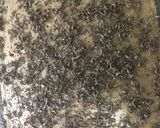 عکس مرحله 3 از دستور کیک کاکائویی