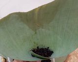 Foto langkah ke 2 dari resep Lupis Ketan Hitam.