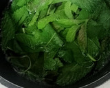 Foto del paso 9 de la receta: 🍰Tarta de mojito🍸🌿🍋