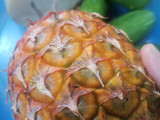 Rojak Buah