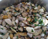 Foto del paso 1 de la receta: Coquinas o tellinas