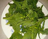 Foto del paso 2 de la receta: Sopa de guías Oaxaqueñas