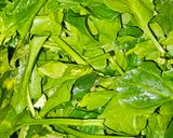 Foto del paso 2 de la receta: Crema de verduras