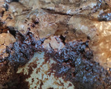 Foto del paso 3 de la receta: Brownie súper húmedo sin tacc