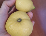 Foto del paso 3 de la receta: Pastel limón (vegano)