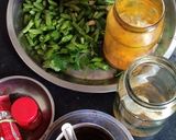 A picture of step 2 of Mung beans.