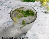 Cara Membuat Coconut water mint 3