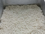 Serimuka Keladi