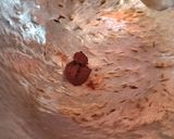 Foto langkah ke 2 dari resep Sambal Matah.