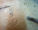 A picture of step 2 of Khichda/daleem/mutton porridge 😊.
