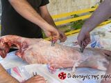 Αρνί στη σούβλα