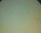 Foto del paso 3 de la receta: Lemon pie