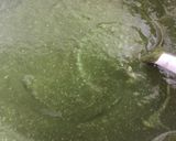 A picture of step 1 of Kofta in spinach gravy.