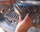 Foto del paso 4 de la receta: Sábalo, al limón y al chimi
