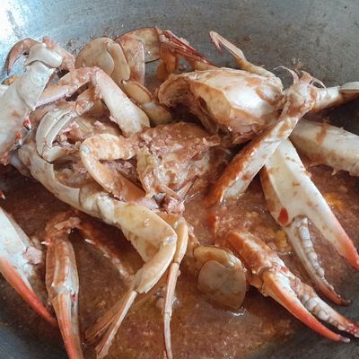Langkah 9