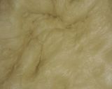 Foto del paso 9 de la receta: Conchas