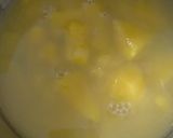 આમ પાપડ (Aam Papad Recipe In Gujarati) રેસીપી સ્ટેપ1ફોટો