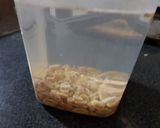 Foto del paso 1 de la receta: Leche vegetal de maní