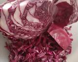 Purple Cabbage Raita recipe step 1 photo