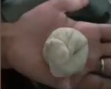 A picture of step 8 of Soya Momos.