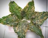 Foto langkah ke 5 dari resep Keripik Bayam Crispy 🌿.