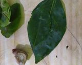 Foto langkah ke 1 dari resep 44. Bobor kangkung tempe.