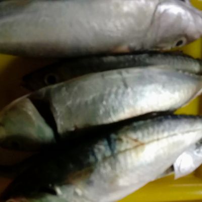 Langkah 1